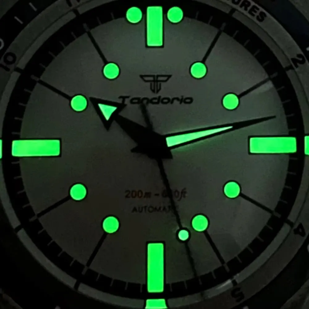 Montre Tandorio TD158A Automatique 38 mm – Rouge / NH35A