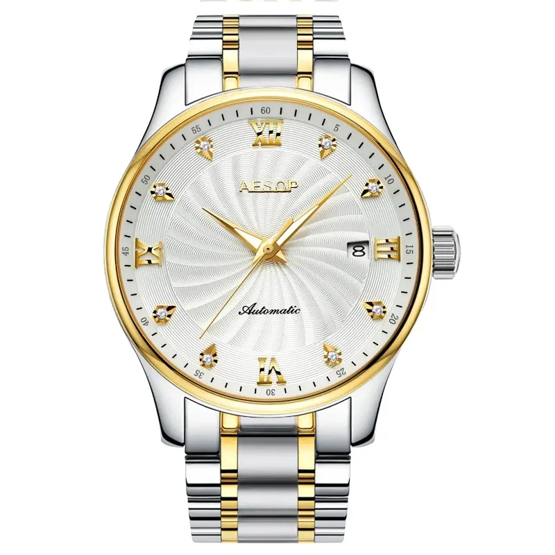 Montre Aesop Automatique – Version 4
